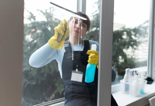 Nettoyage de vitres intérieures et extérieures à Ambérieux